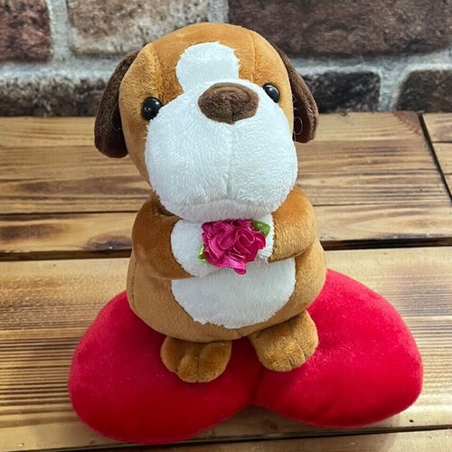 Peluş Oyuncaklı 365 Gün Aşk Sözü Hediye Kutusu